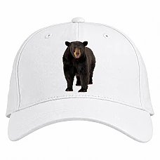Baseball cap with Print Funny Bear - white