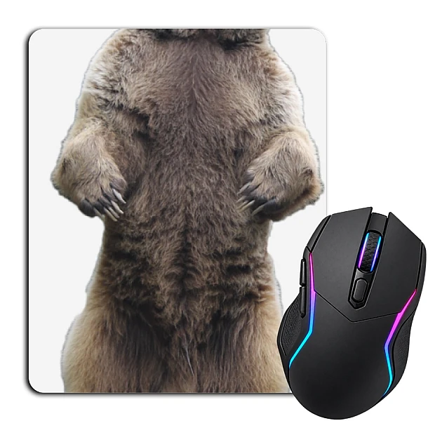 Mouse pad with print White Bear Stands