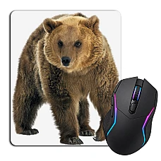 Mouse pad with print Bear Walks