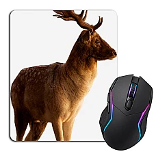 Mouse pad with print Dear With Big Horns