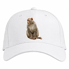 Baseball cap with Print White Monkey - white