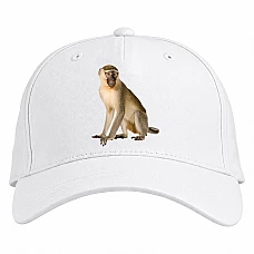 Baseball cap with Print Funny Monkey - white