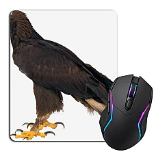 Mouse pad with print Eagle Stands