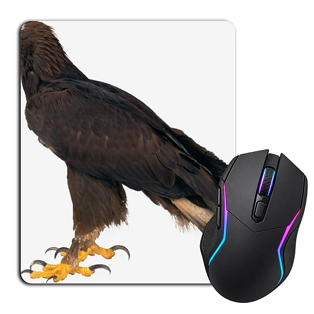 Mouse pad with print Eagle Stands