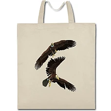 Eco bag with print Two Eagles Fly - beige