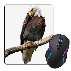 Mouse pad with print Eagle Sits On Stick