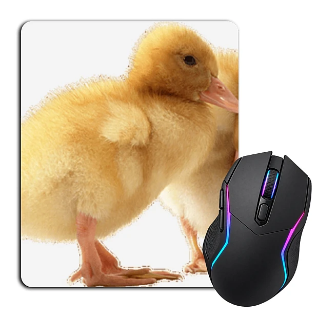 Mouse pad with print Two Small Ducks