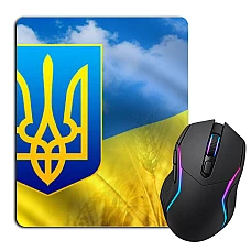 Mouse pad with print Constitution Day Embroidered Wheat Field