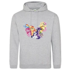 Hoodie with Print My Little Pony Universe - 2XL grey
