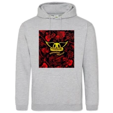 Hoodie with Print Aerosmith 2 - 2XL grey