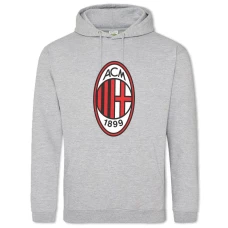 Hoodie with Print Acm Logo - 2XL grey