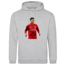 Hoodie with Print Roberto Firmino - 2XL grey