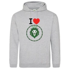 Hoodie with Print Lviv - 2XL grey