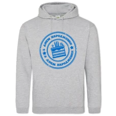Hoodie with Print Birthday Cake With Print Blue - 2XL grey