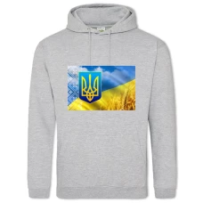Hoodie with Print Constitution Day Embroidered Wheat Field - 2XL grey