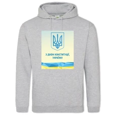 Hoodie with Print Constitution Day Emblem - 2XL grey