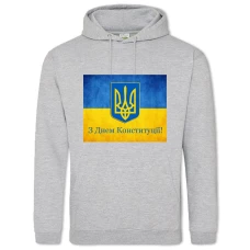 Hoodie with Print Constitution Day Flag Emblem And Contrast - 2XL grey