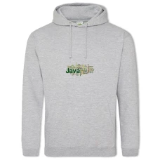 Hoodie with Print Day Of The Programmer Programming Languages - 2XL grey
