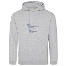 Hoodie with Print Day Of The Programmer Program's Code - 2XL grey
