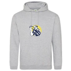 Hoodie with Print Day Energy Electrician With A Plug For Socket - 2XL grey