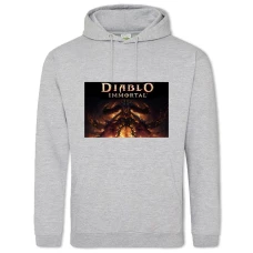 Hoodie with Print Diablo Immortal - 2XL grey