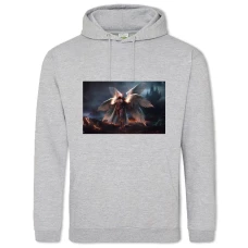 Hoodie with Print Diablo Angel - 2XL grey