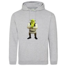 Hoodie with Print Shrek Monster - 2XL grey