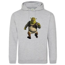 Hoodie with Print Shrek Running Hero - 2XL grey