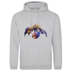 Hoodie with Print Moana Tomatoa - 2XL grey