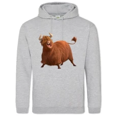 Hoodie with Print Ferdinand Funny Bull - 2XL grey