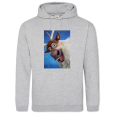 Hoodie with Print Frozen Sven - 2XL grey