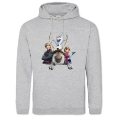 Hoodie with Print Frozen Main Heroes - 2XL grey