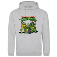 Hoodie with Print Teenage Mutant Ninja Turtles Heroes - 2XL grey