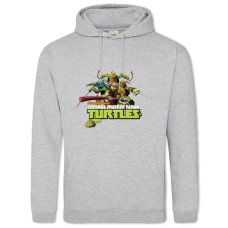 Hoodie with Print Teenage Mutant Ninja Turtles Main Heroes - 2XL grey