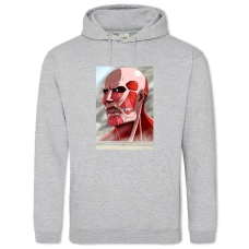 Худи с принтом Атака На Титанов Создание - 2XL серый