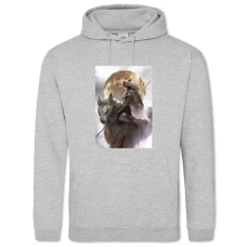 Hoodie with Print Mononoke-Hime Hero Girl - 2XL grey