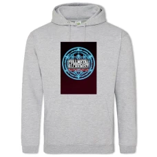 Hoodie with Print Fullmetal Alchemist Logo - 2XL grey