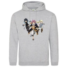 Hoodie with Print Fairy Tail Heroes - 2XL grey