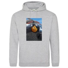 Hoodie with Print Angry Birds Black - 2XL grey