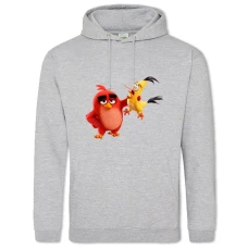 Hoodie with Print Angry Birds Friends - 2XL grey