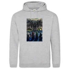 Hoodie with Print Lego With Cat - 2XL grey