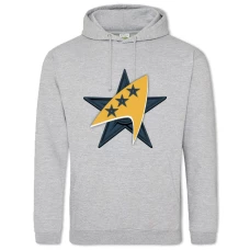 Hoodie with Print Star Trek Sign - 2XL grey
