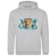 Hoodie with Print The Chronicles Of Narnia Characters - 2XL grey