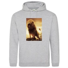 Hoodie with Print The Chronicles Of Narnia Lion - 2XL grey