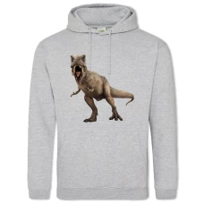 Hoodie with Print Jurassic Park Dinosaur - 2XL grey