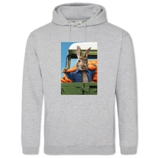 Hoodie with Print Peter Rabbit Cute Hero - 2XL grey