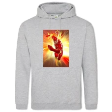 Hoodie with Print Flash Hero Edition - 2XL grey