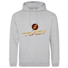 Hoodie with Print Flash Main Logo - 2XL grey