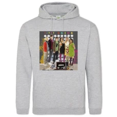 Hoodie with Print Skins Main Heroes - 2XL grey