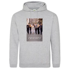 Hoodie with Print Friends Heroes - 2XL grey